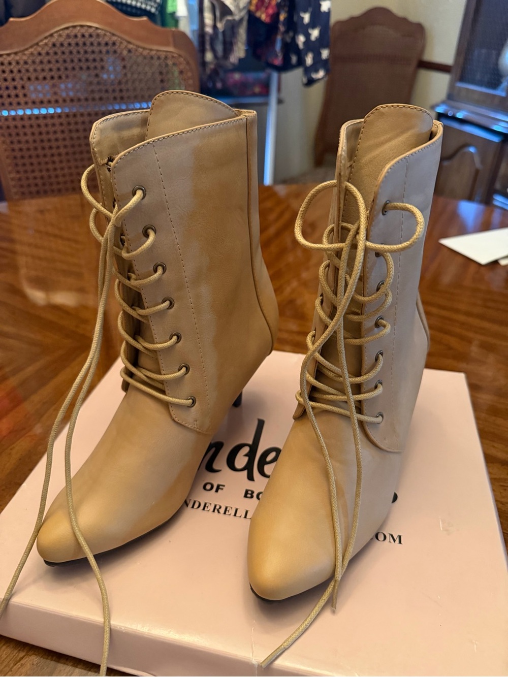 Cinderella Tan Lace-Up Pointed Ankle Booties